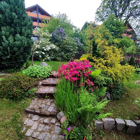 Apartament Pasja *