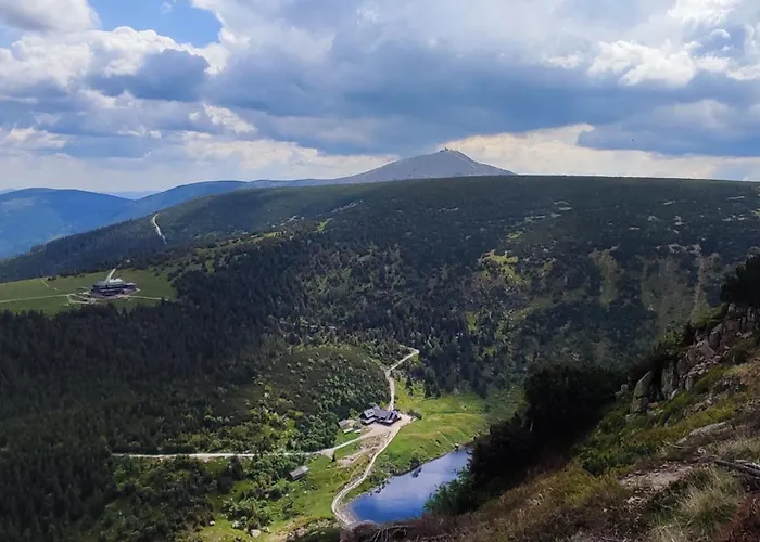 Pasja * كارباش